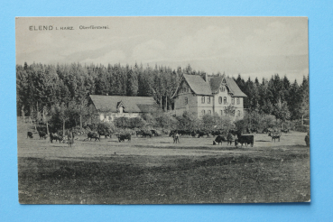 Ansichtskarte AK Elend Harz 1905-1915 Oberförsterei Förster Kühe Hirte Gebäude Architektur Ortsansicht Sachsen Anhalt